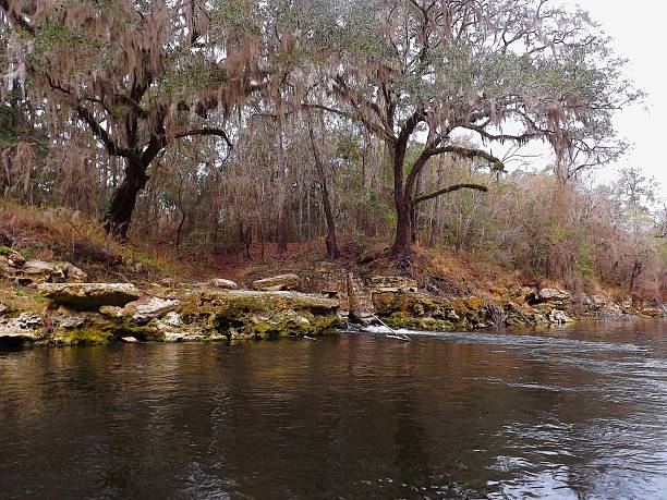 istock Suwanacoochee Spring, Campground on the Withalacoochee River at the Suwannee RIver State Park Florida 2228769574