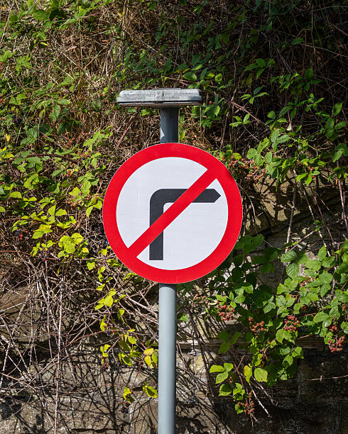 istock No right turn sign is on a pole 2228772090