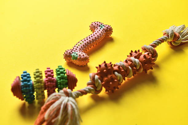 Multiple Colorful Dog Toys Arranged Neatly On Bright Yellow Background Surface