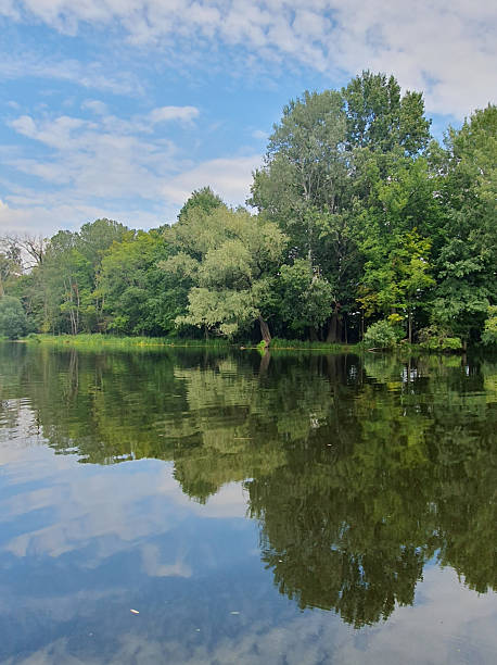 istock A quiet river or lake surrounded by a dense green forest. The mirror-like water reflects the trees and the sky 2228779691