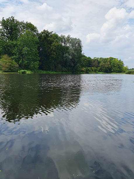 istock A quiet river or lake surrounded by a dense green forest. The mirror-like water reflects the trees and the sky 2228779706