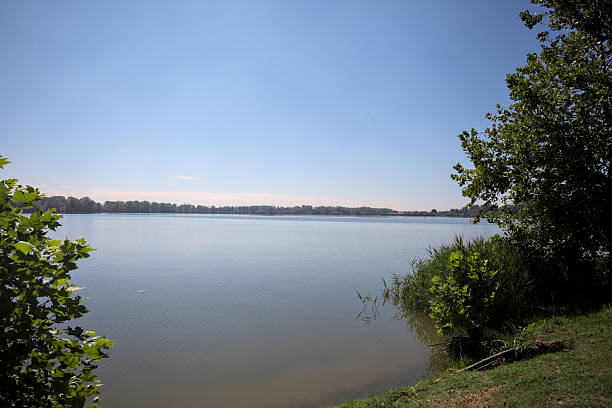 istock Lakeshore on a sunny day 2228779856