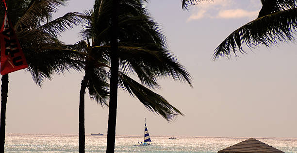 Sea view angle of Waikiki Beach Honolulu Hawaii