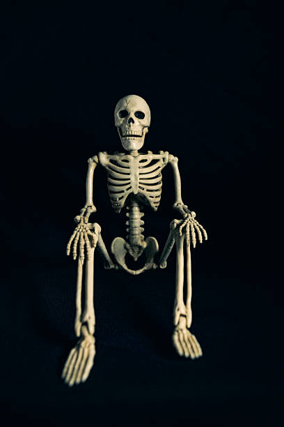 istock Sittling Halloween Skeleton on Blak Background 2228783975