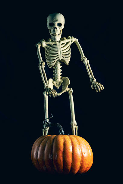 Happy Halloween. Halloween pumpkin and skeleton for decorated house. Scary decorations at front yard of a home. Trick or treat. Halloween background. Holiday of Halloween and Thanksgiving