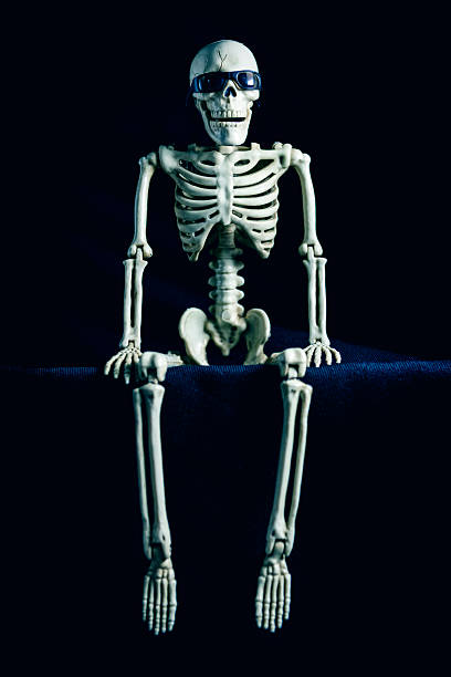 Isolated photo of toy skeleton sitting on carboard box on white background, side view.