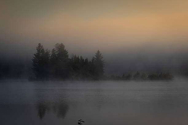 istock Misty morning at sunrise 2228788990