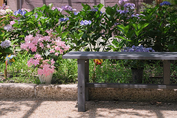 wooden bench in a city park among hydrangeas in Kyoto, Japan