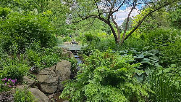 istock Lush garden with tree and pond. 2228789678