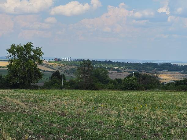 A grassy field with trees and a river in the background. Grass. Outdoor. Sky. Field. Green