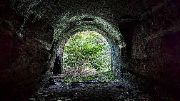 istock Light at the end of the tunnel with tree and forest visible in sunlight, dark shadows in train tunnel arch with cave like debris and moss covered floor 2228792837