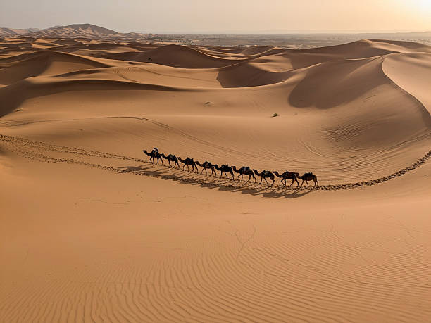 istock Desert Caravan at Sunrise 2228794050