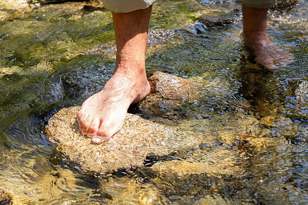 Hiker crossing a mountain stream barefoot, stepping carefully on smooth rocks while enjoying the refreshing coolness of clear water