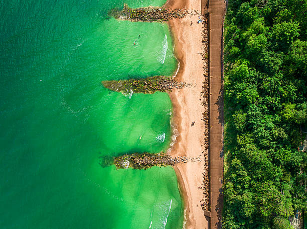 Seaweed covered groynes in the Baltic Sea washed by waves