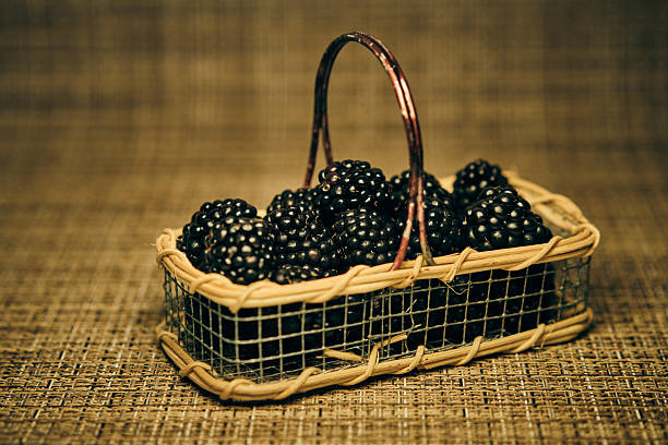 Bold and brambly, blackberries bring a deep, earthy sweetness that feels like a late-summer stroll through wild hedgerows. Packed with antioxidants and intense flavor, they’re just as divine in a pie as they are plucked fresh from the bush—slightly tart, deeply satisfying, and undeniably elegant.