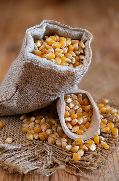 istock Corn grains spilling from burlap sack onto wooden table 2228798628