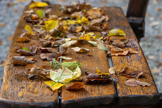 A rustic table surrounded by falling autumn leaves.