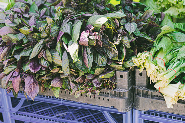 istock Fresh organic herbs displayed in crates at a local market. Varieties include basil and leafy greens, showcasing vibrant colors and textures. 2228799618