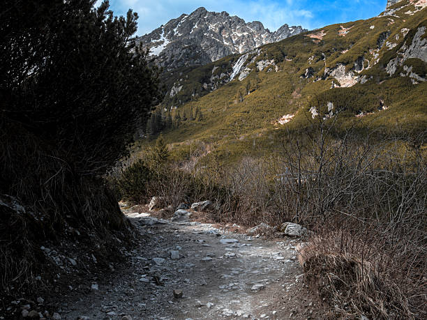Scenic mountain trail in Roztoka Valley leads to a powerful glacial-fed waterfall  a hidden gem in Tatra National Park, Poland.