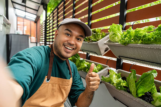 istock Fresh salad greens thrive in a vertical garden growing organically on a sunny backyard wall. Young asian man tends a vertical wall garden cultivating pesticide-free salad vegetables for healthy 2228803441