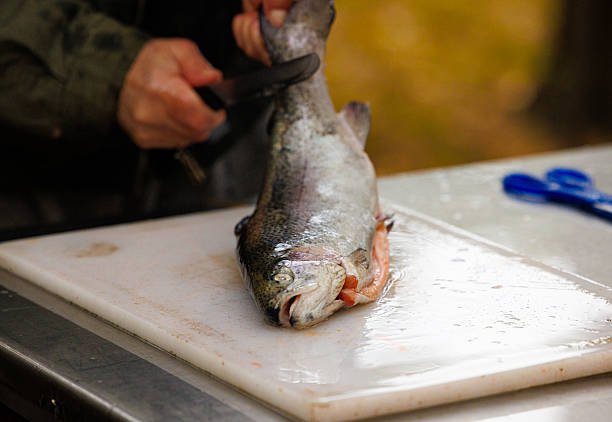 Preparing fresh fish in an outdoor kitchen setting surrounded by nature during the warm afternoon hours