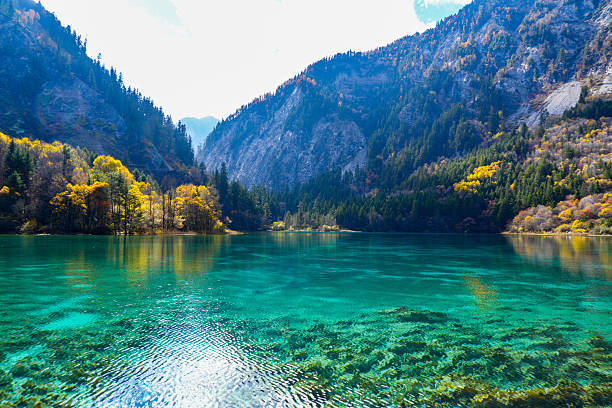 The beauty of Zhangjiajie park in autumn.