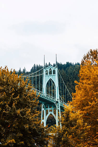 istock St. John's Bridge in Portland, Oregon 2228809462