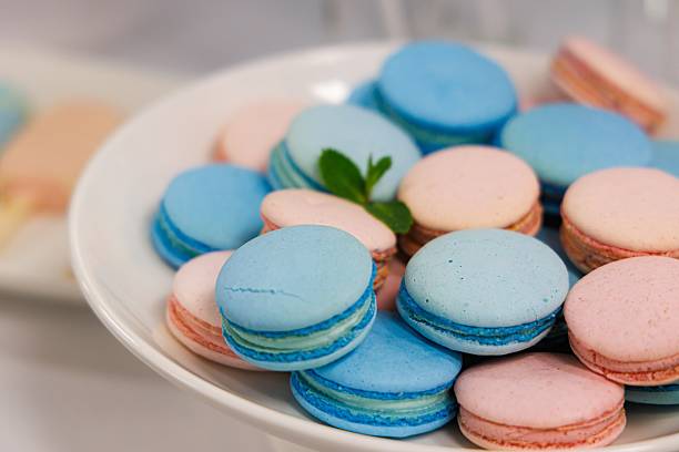 istock Delicate pastel macarons arranged beautifully on a white plate for a joyful dessert celebration at a spring gathering 2228813806