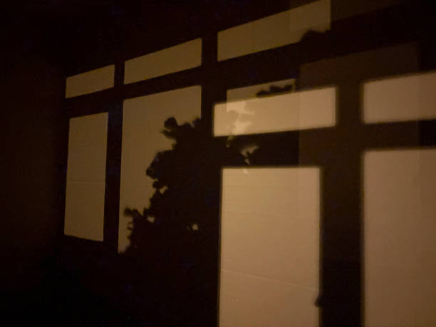 Window shadow on the wall in the dark. Dark room at night. Window frame and a tree shadow on the wall background with copy space