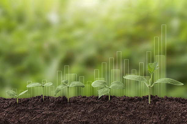 istock Seedling are growing from soil with business growth 2228827383
