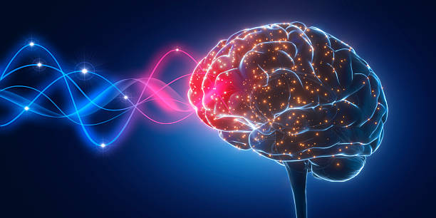 istock Human brain with with waves and electric pulses on dark blue background 2228829465