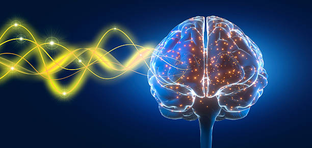 istock Human brain with with waves and electric pulses on dark blue background 2228829483