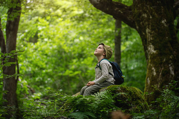 istock Young Child Sitting on a Rock and Looking Upwards in a Peaceful Forest Setting 2228829977