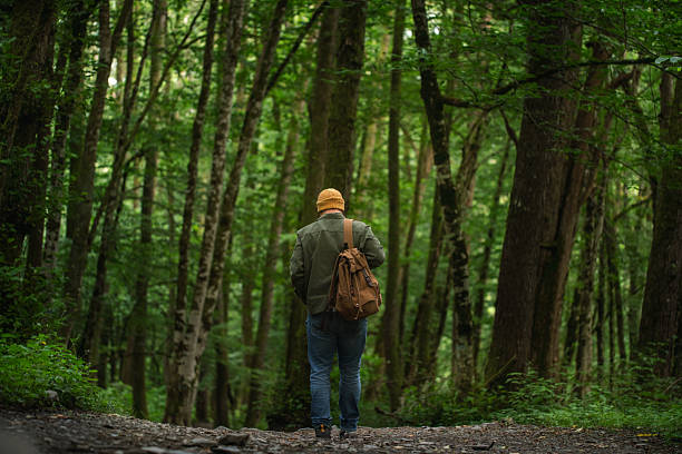 istock Backpacker Walking Through a Lush Green Forest Trail Calm in Nature 2228830521