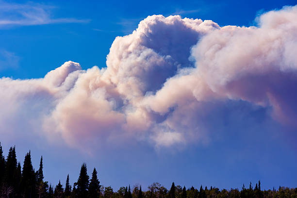 A towering plume of wildfire smoke rises over a forested ridgeline in the Flat Tops region near Meeker, Colorado, during the 2025 Elk Fire. The image captures the power and scale of a pyrocumulus cloud forming as dry conditions and lightning-fueled flames consume thousands of acres. Aerial firefighting aircraft can be seen near the smoke column, emphasizing the intensity and emergency response effort.