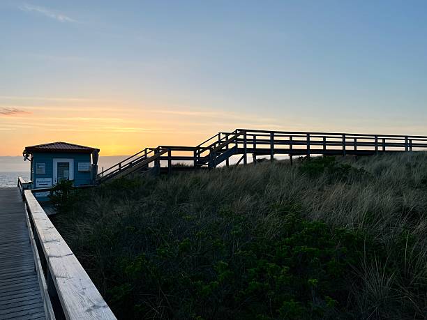 istock Walk to the Beach just after Sunset 2228835945