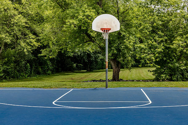 A basketball hoop stands prominently on a court surrounded by trees and a cloudy sky.