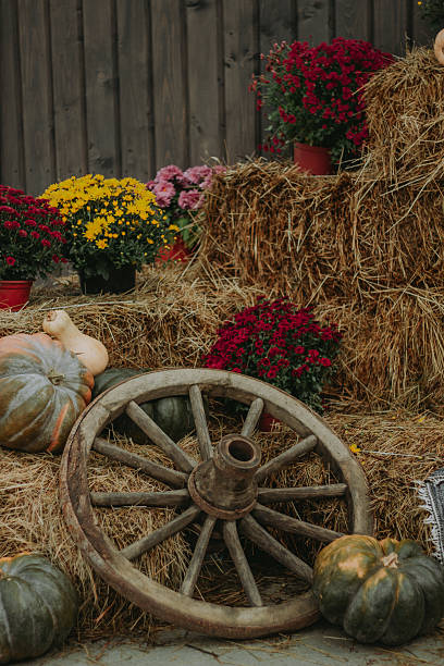 istock Rustic autumn composition with pumpkins, apples, chrysanthemums, straw and barrels. Cozy fall harvest setup in countryside style with seasonal flowers and vintage decor against wooden wall. 2228840261
