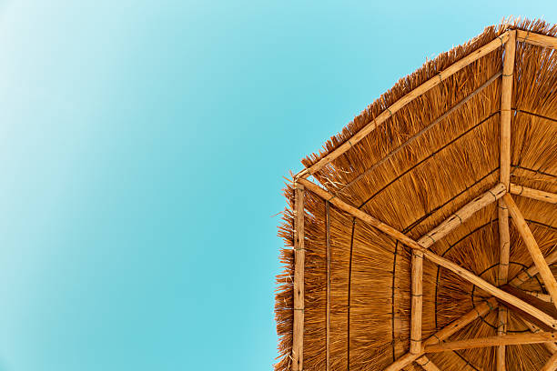 istock Tropical background with thatched beach umbrella seen from below in the corner and turquoise sky, copy space, holidays. 2228843124