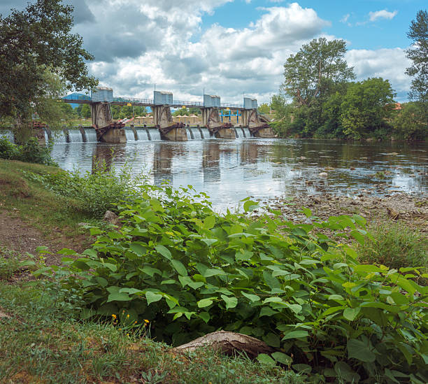 istock Old dam on the river in summer 2228843822