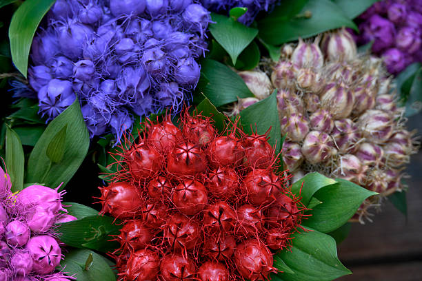 Dried flower bouquet filled with primary colors