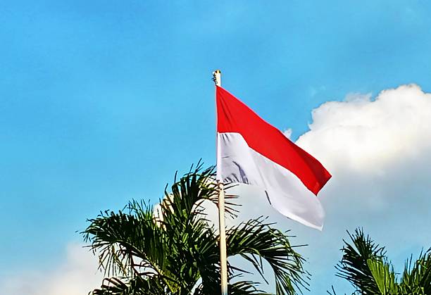 istock The Indonesian flag flying on independence day 2228844517