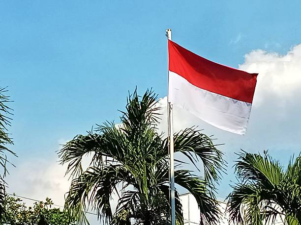 istock The Indonesian flag flying on independence day 2228844529