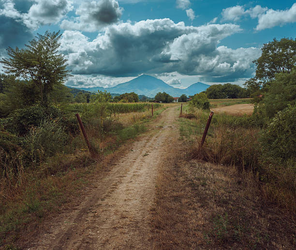 Dirt country road for hiking, summer season, Serbia, surroundings of the town of Cacak.