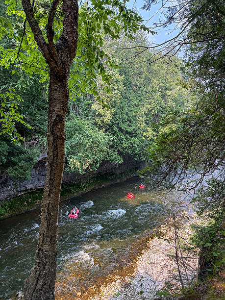 istock Tubing on Gorge 2228845776
