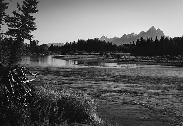 Scenic shots taken while driving through the Grand Tetons and Yellowstone National Parks.