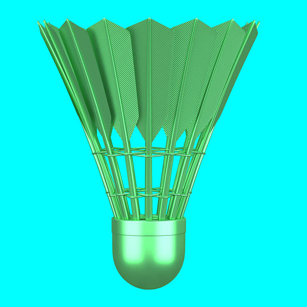 traditional badminton shuttlecock with feathers