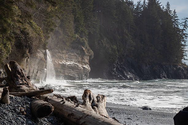 istock Waterfalls on the rugged Pacific Coast 2228849711