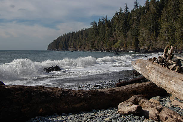 istock Waves breaking on the Pacific Northwest Coast 2228849788