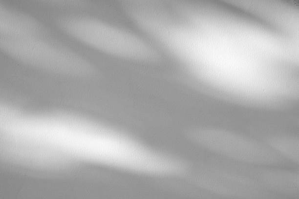 istock Abstract natural tree branch leaves shadow on white wall background 2228851882